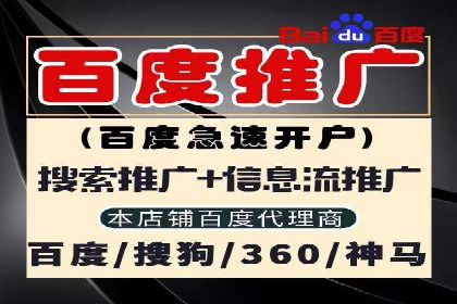 SEM推广案例：揭秘高ROI背后的策略与实践